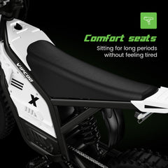 VC-H2 Electric Bike