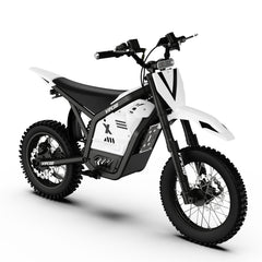 VC-H2 Electric Bike