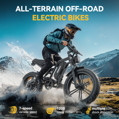 Hidoes HD-B6 1200W Fast Fat Tyre Electric Bike