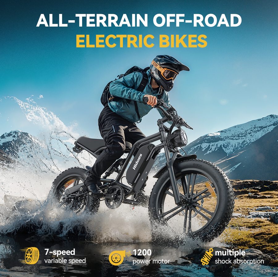 Hidoes HD-B6 1200W Fat Tyre Electric Bike – product image 9