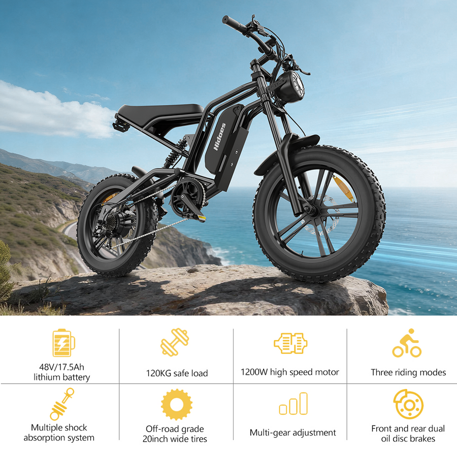 Hidoes HD-B6 1200W Fat Tyre Electric Bike – product image 8