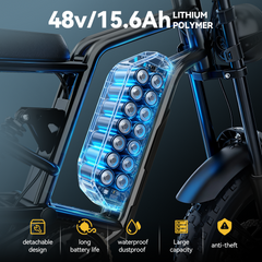 Hidoes HD-B6 1200W Fast Fat Tyre Electric Bike