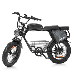 Hidoes HD-B9 Electric Bike