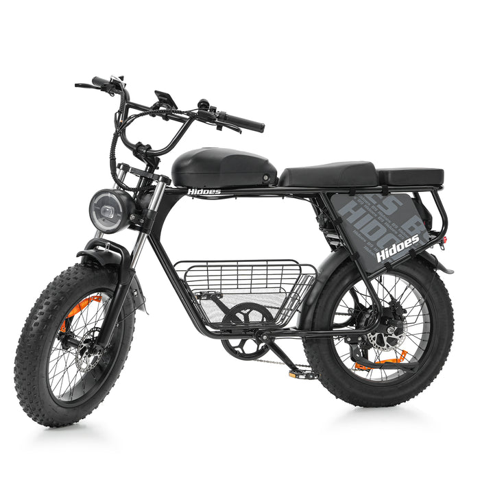 Hidoes HD-B9 Dual-Battery Fat Tyre Electric Bike