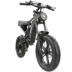 Hidoes HD-B6 1200W Fast Fat Tyre Electric Bike