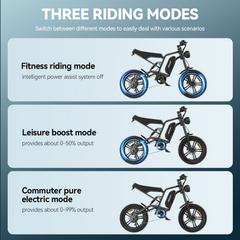 Hidoes HD-B6 1200W Fast Fat Tyre Electric Bike