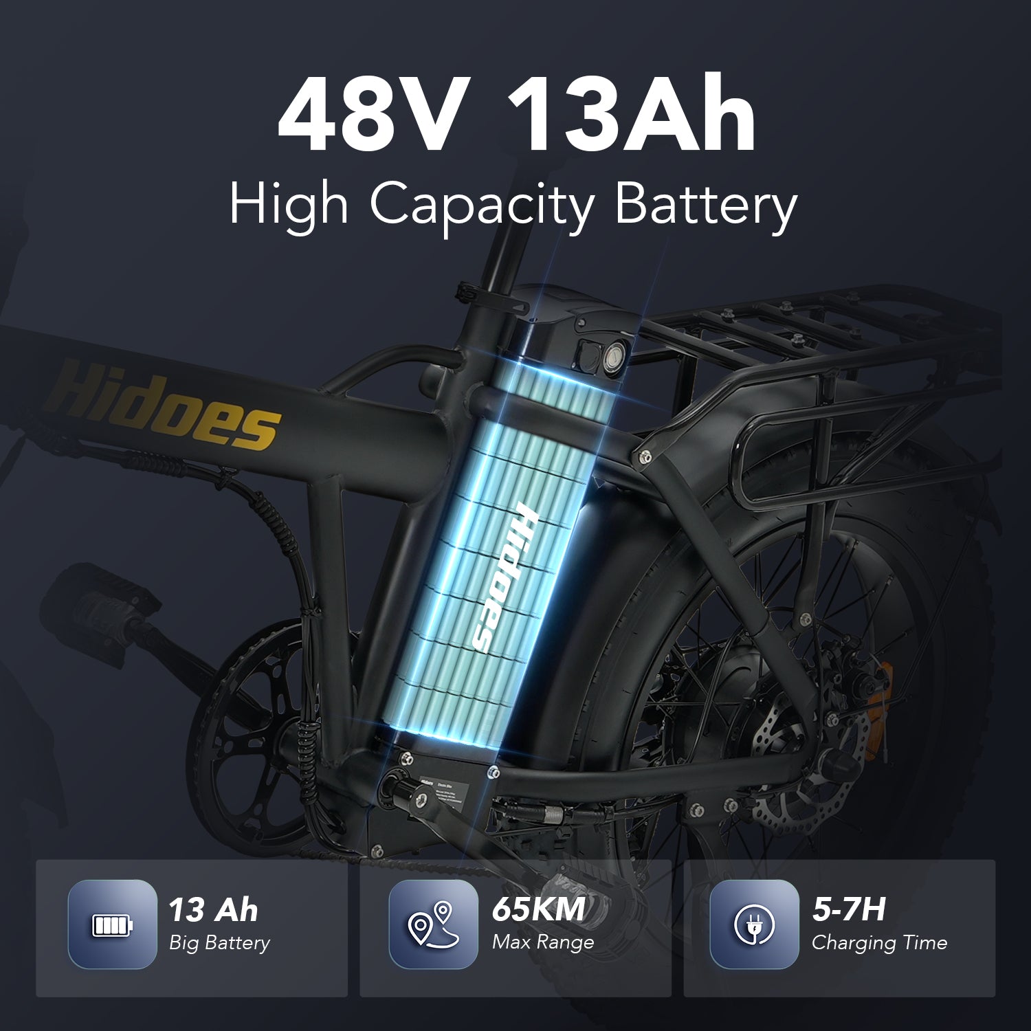 Hidoes HD-F3 750W Fast Fat Tyre Electric Bike