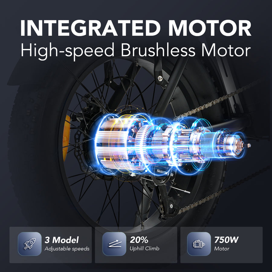 Hidoes HD-F3 750W Fat Tyre Electric Bike – product image 12