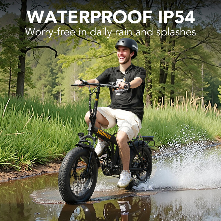 Hidoes HD-F3 750W Fat Tyre Electric Bike – product image 13