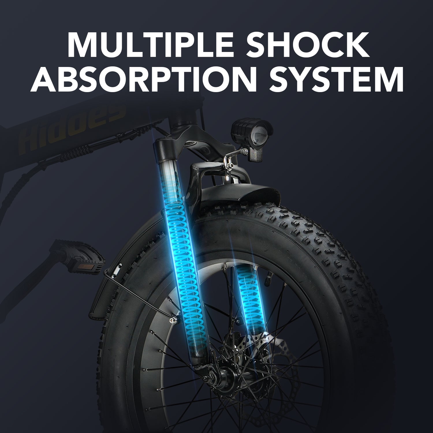 Hidoes HD-F3 750W Fast Fat Tyre Electric Bike