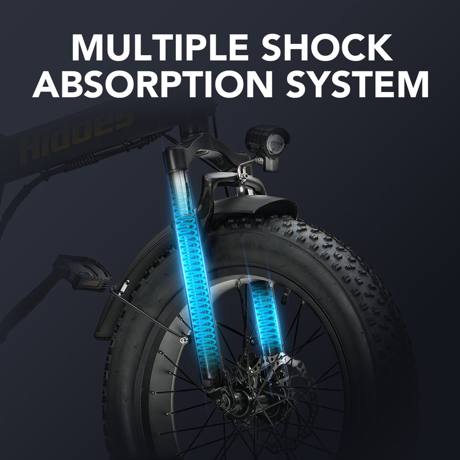 Hidoes HD-F3 750W Fat Tyre Electric Bike – product image 14