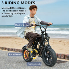HD-B6 Mini Electric Bike