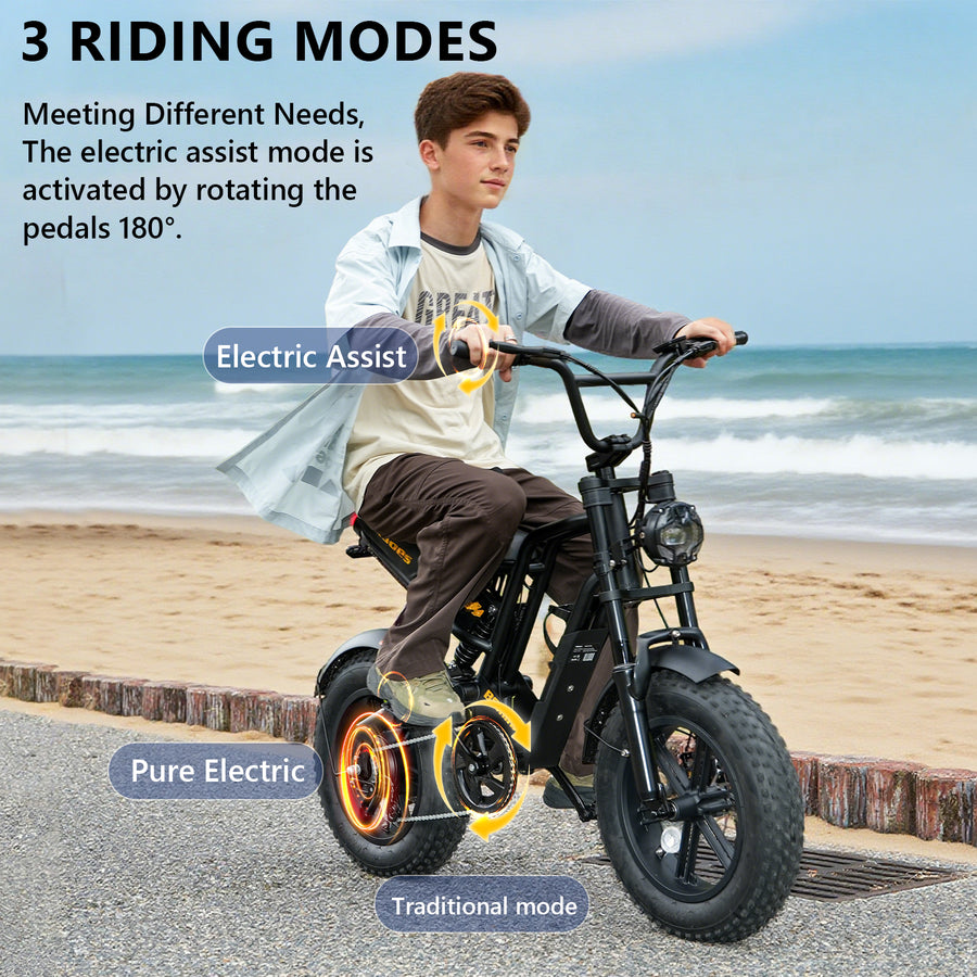 Hidoes HD-B6 Mini 500W Fat Tyre Electric Bike – product image 9