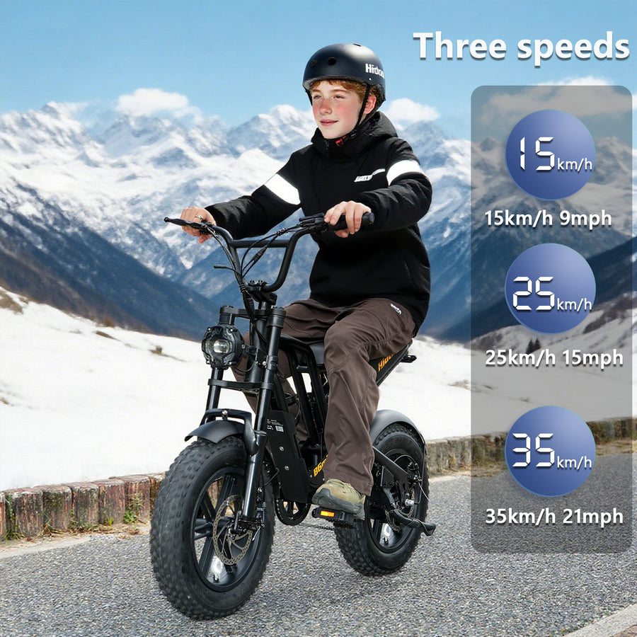Hidoes HD-B6 Mini 500W Fat Tyre Electric Bike – product image 12