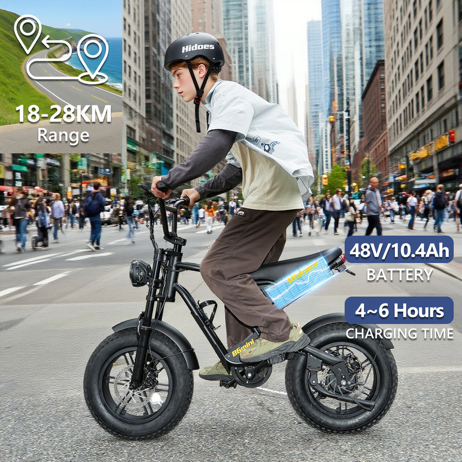 Hidoes HD-B6 Mini 500W Fat Tyre Electric Bike – product image 14