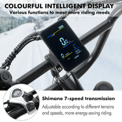 Hidoes HD-B9 Electric Bike