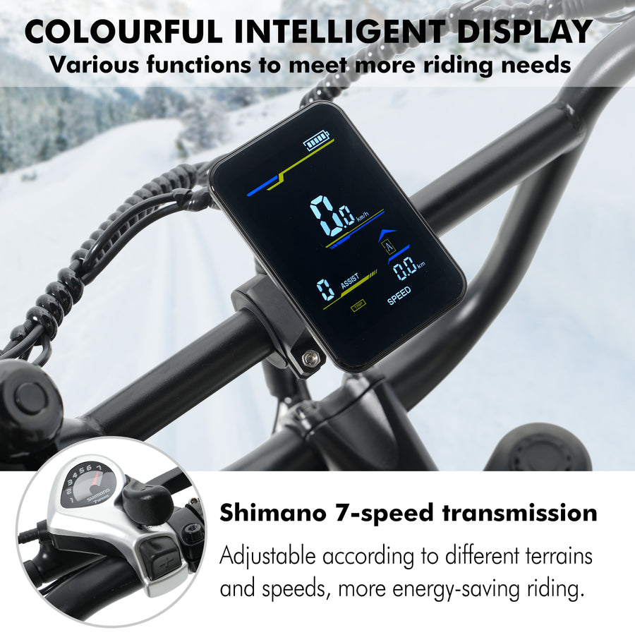Hidoes HD-B9 Dual-Battery Fat Tyre Electric Bike – product image 4