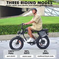Hidoes HD-B9 Electric Bike