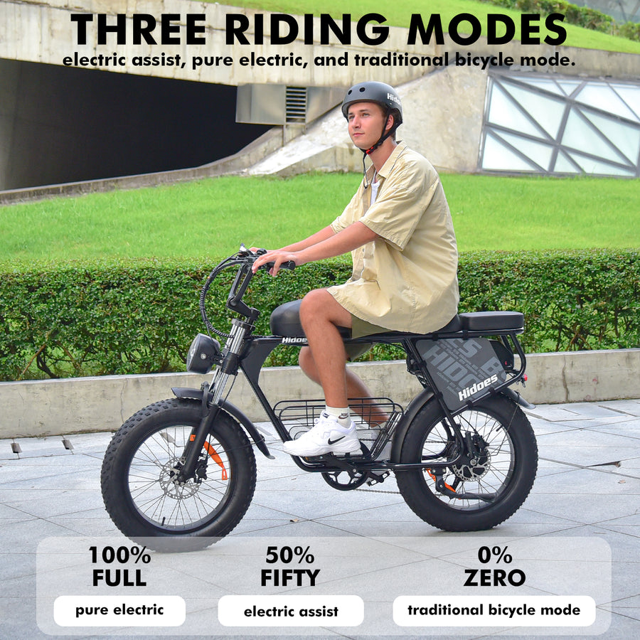 Hidoes HD-B9 Dual-Battery Fat Tyre Electric Bike – product image 5