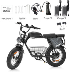 Hidoes HD-B9 Electric Bike
