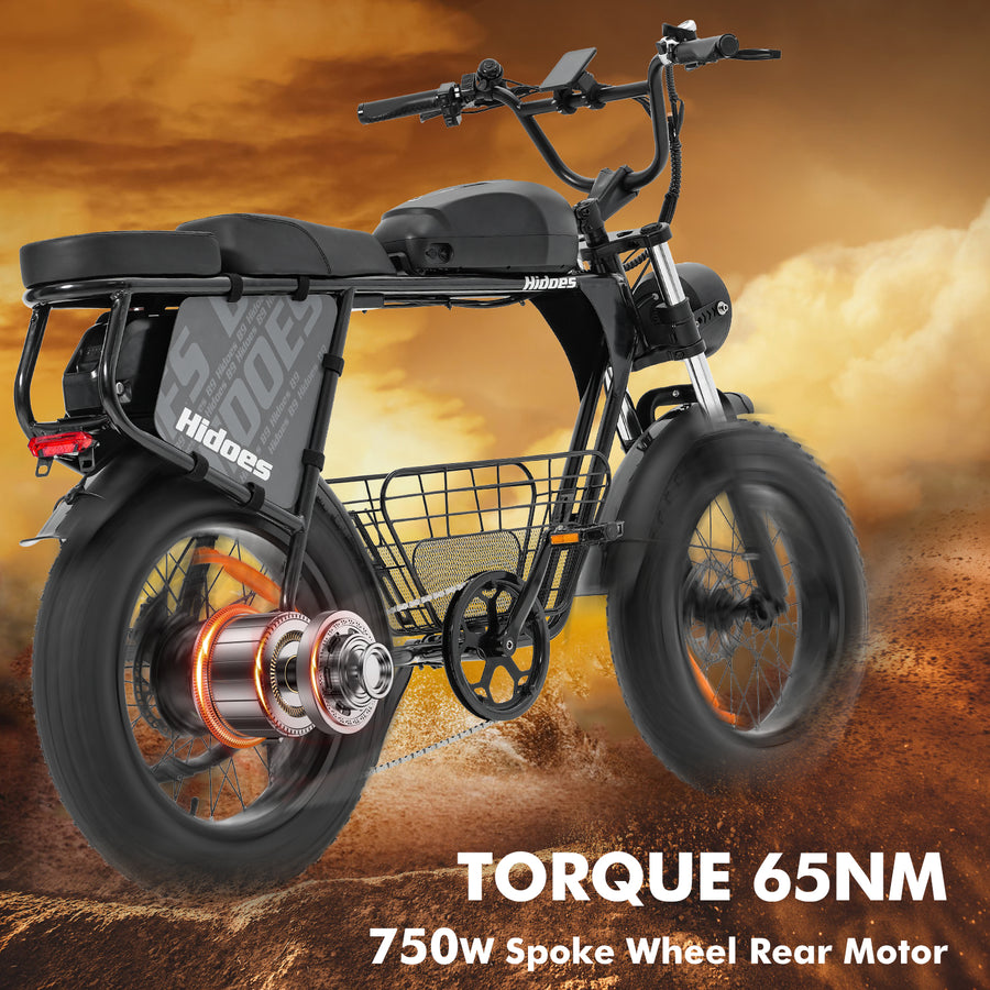 Hidoes HD-B9 Dual-Battery Fat Tyre Electric Bike – product image 16