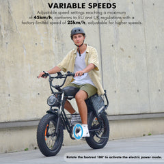 Hidoes HD-B9 Electric Bike
