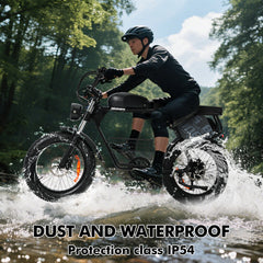 Hidoes HD-B9 Electric Bike