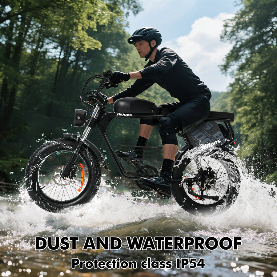 Hidoes HD-B9 Dual-Battery Fat Tyre Electric Bike – product image 13