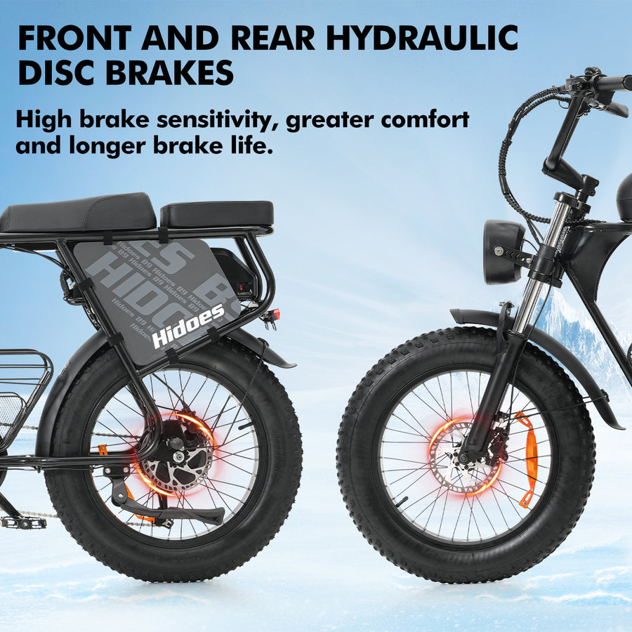 Hidoes HD-B9 Dual-Battery Fat Tyre Electric Bike – product image 15