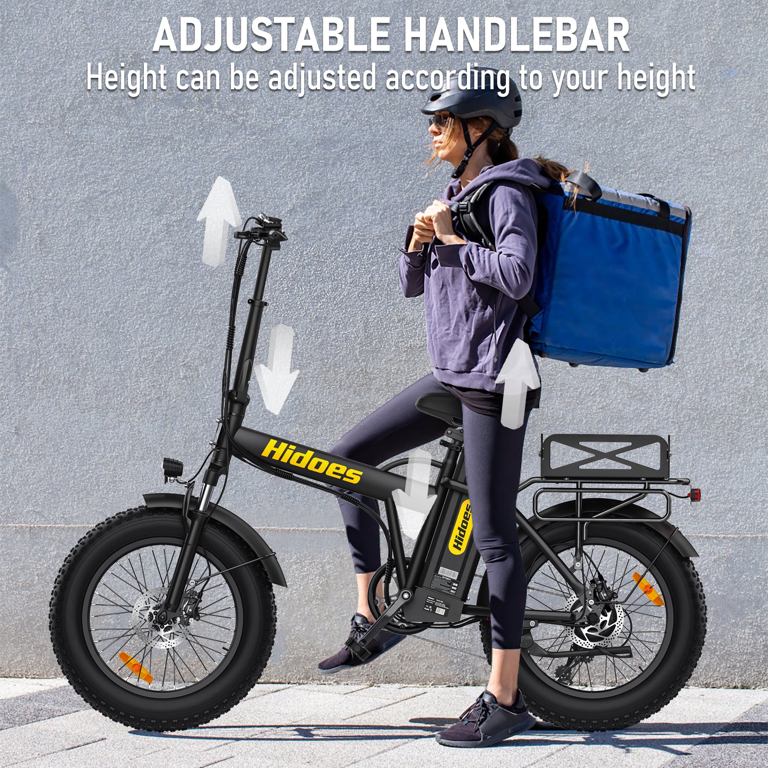 Hidoes HD-F3 Pro 750W Fast Long-Range Fat Tyre E-Bike