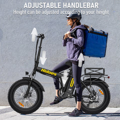 Hidoes HD-F3 Pro 750W Fast Long-Range Fat Tyre E-Bike