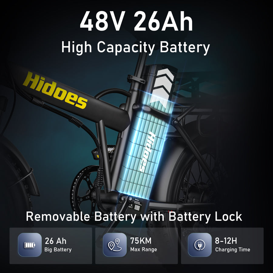 Hidoes HD-F3 Pro 750W Long-Range Fat Tyre E-Bike – product image 14