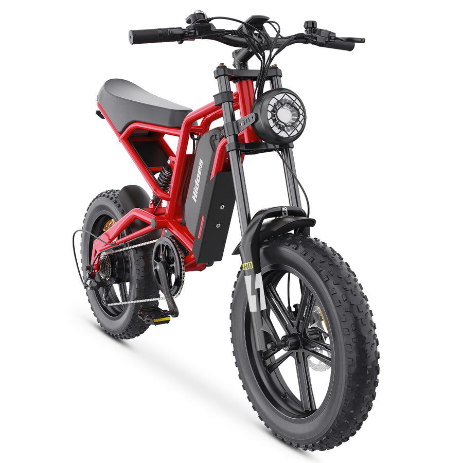 Hidoes HD-B6 1200W Fat Tyre Electric Bike – product image 2