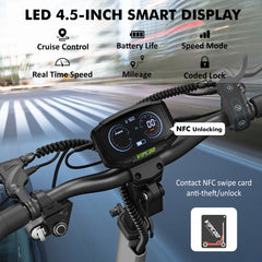 VIPCOO VS6 Electric Scooter