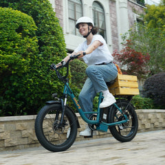 URLIFE E20 electric bike features