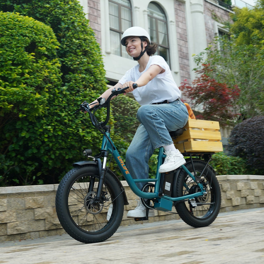 URLIFE E20 electric bike features