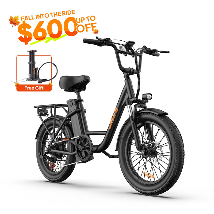 URLIFE E20 20-Inch Fat Tyre Folding Electric Bike | 250W, 48V 13Ah