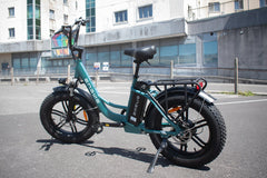 ENGWE L20 Boost sea green fat tyre e-bike outdoor view