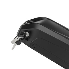 48V 18.0/19.2/20.0Ah Hailong G80 Max Down Tube Battery with Charger
